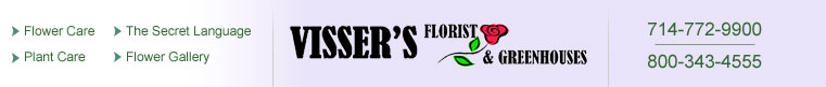 Visser's Florist and Greenhouses - Orange County Florist