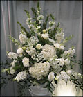 Visser's Alter Piece