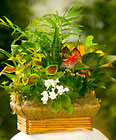 European Garden