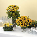 Wedding Centerpiece