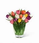 apring tulips